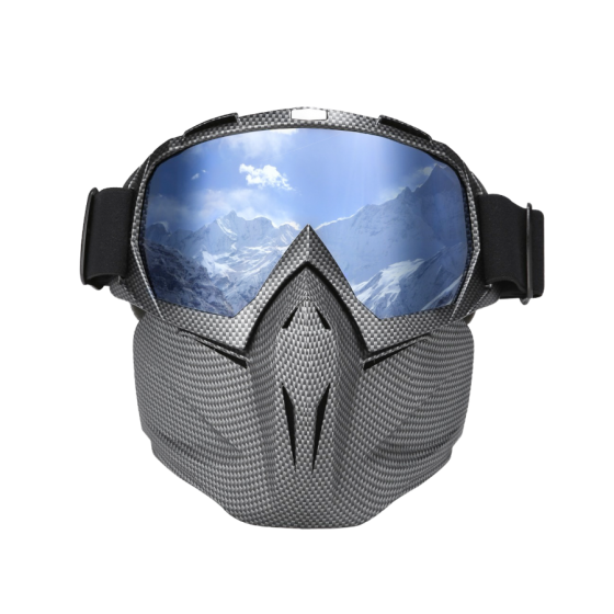 Protective Ski Mask